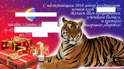 Макет: ночной клуб, поздравление с годом тигра!